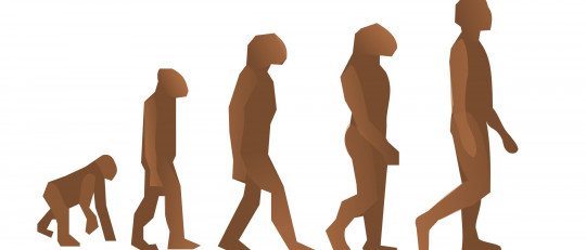 Diferencias entre Psicología evolutiva y Psicología evolucionista