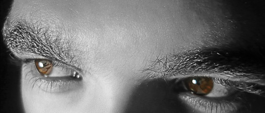 Los tipos de celos y sus diferentes características