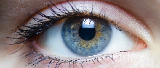 Las 11 partes del ojo y sus funciones