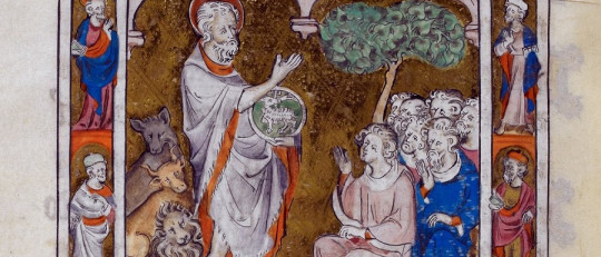 Tópicos sobre la Edad Media