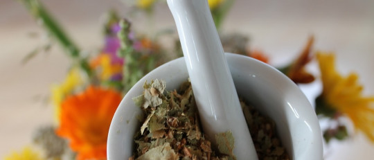 Flores de Bach: ¿qué son y cuál es su eficacia?