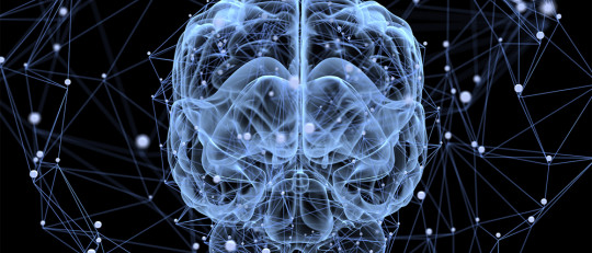 Memoria de trabajo (operativa): componentes y funciones