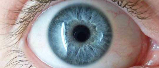 ¿Por qué parpadeamos automáticamente?