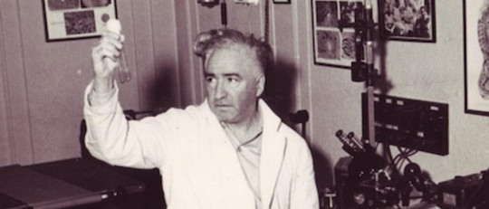 Las psicoterapias corporales de Reich, Lowen y Gendlin