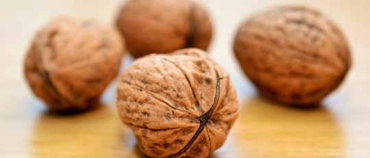 16 alimentos para combatir la anemia desde hoy mismo