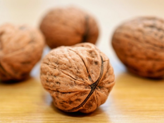 16 alimentos para combatir la anemia desde hoy mismo