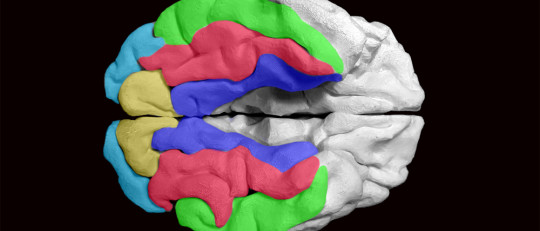 Reserva cognitiva: qué es y cómo nos protege de la demencia