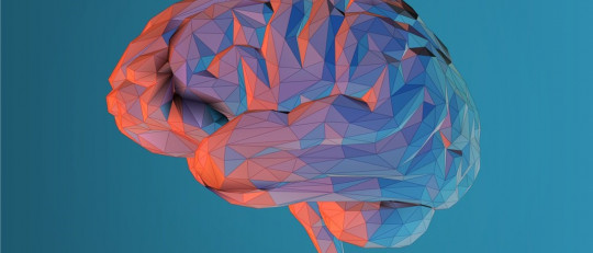 La meditación produce cambios en el cerebro, según la ciencia