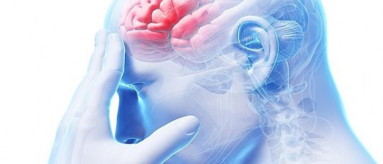 ¿Qué es el lóbulo frontal y cómo funciona?