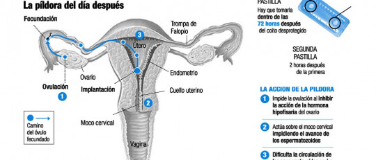 Píldora del día después: 8 claves para saber cómo funciona