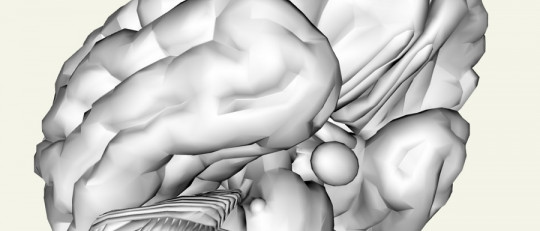 Sistema reticular activador ascendente