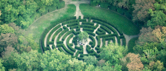 Edward Tolman: biografía y estudio de los mapas cognitivos