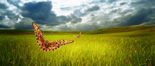 Focusing: la psicoterapia corporal de Eugene Gendlin