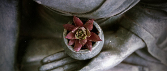 La Terapia Bioenergética de Alexander Lowen