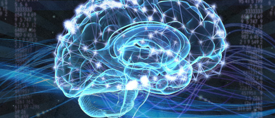 Las 5 teorías jerárquicas de la inteligencia