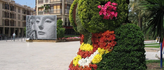 Las mejores Residencias Geriátricas en Elche