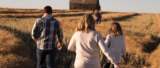 Las 10 causas principales de un hogar tóxico