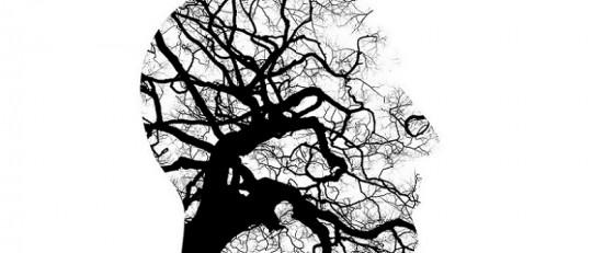 Terapia psicodinámica: bases teóricas, técnicas y corrientes