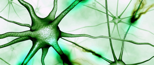 Los 8 mejores Másters (y Posgrados) en Mindfulness