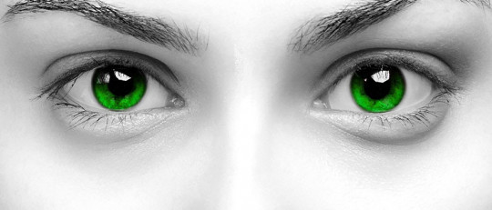 100 frases de envidia que retratan a las personas envidiosas