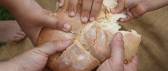 Cuáles son las diferencias entre igualdad y equidad