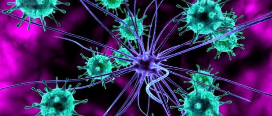 Encefalitis: causas, síntomas, tratamiento y pronóstico