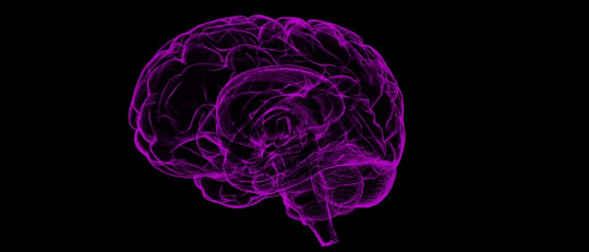 Enfermedad de Canavan: síntomas, causas y tratamiento