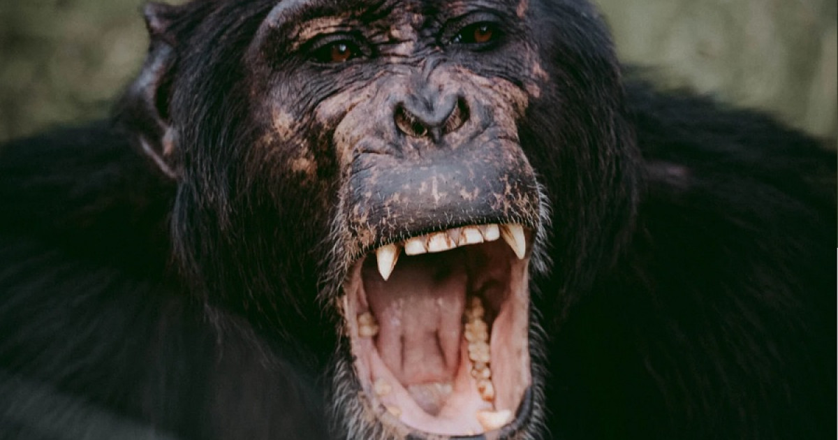 psicologiaymente.com