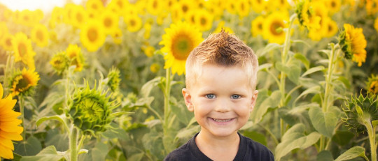 Memoria episódica: definición y partes del cerebro asociadas
