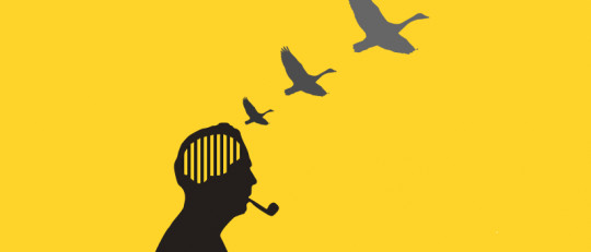 Los 5 métodos de estudio más comunes en Psicología