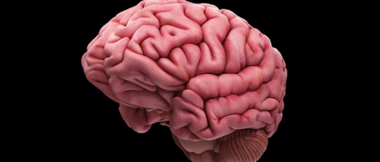 Encefalopatía Hipóxica: causas, síntomas y tratamiento