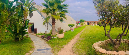 Llaurant la Llum jardín