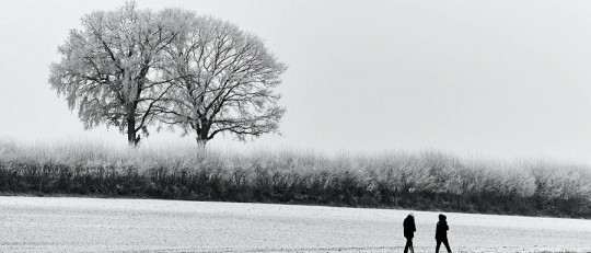¿Podemos aprender a mejorar la forma de relacionarnos con nuestra pareja?