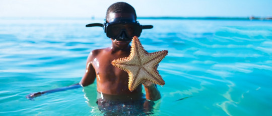 Así influye en tu inteligencia la educación y el entrenamiento