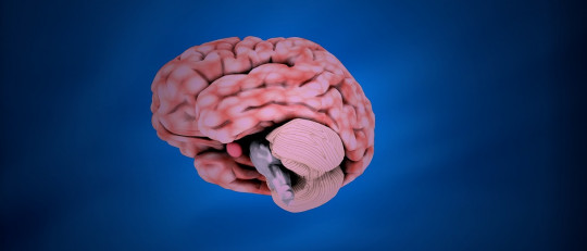 Alzheimer en jóvenes: causas, síntomas y tratamiento