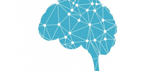 ¿Aparecen dos consciencias al dividir el cerebro?