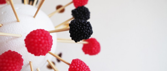 Contracondicionamiento: usos terapéuticos de esta técnica