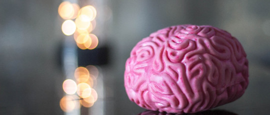 Neurociencia cognitiva: historia y métodos de estudio