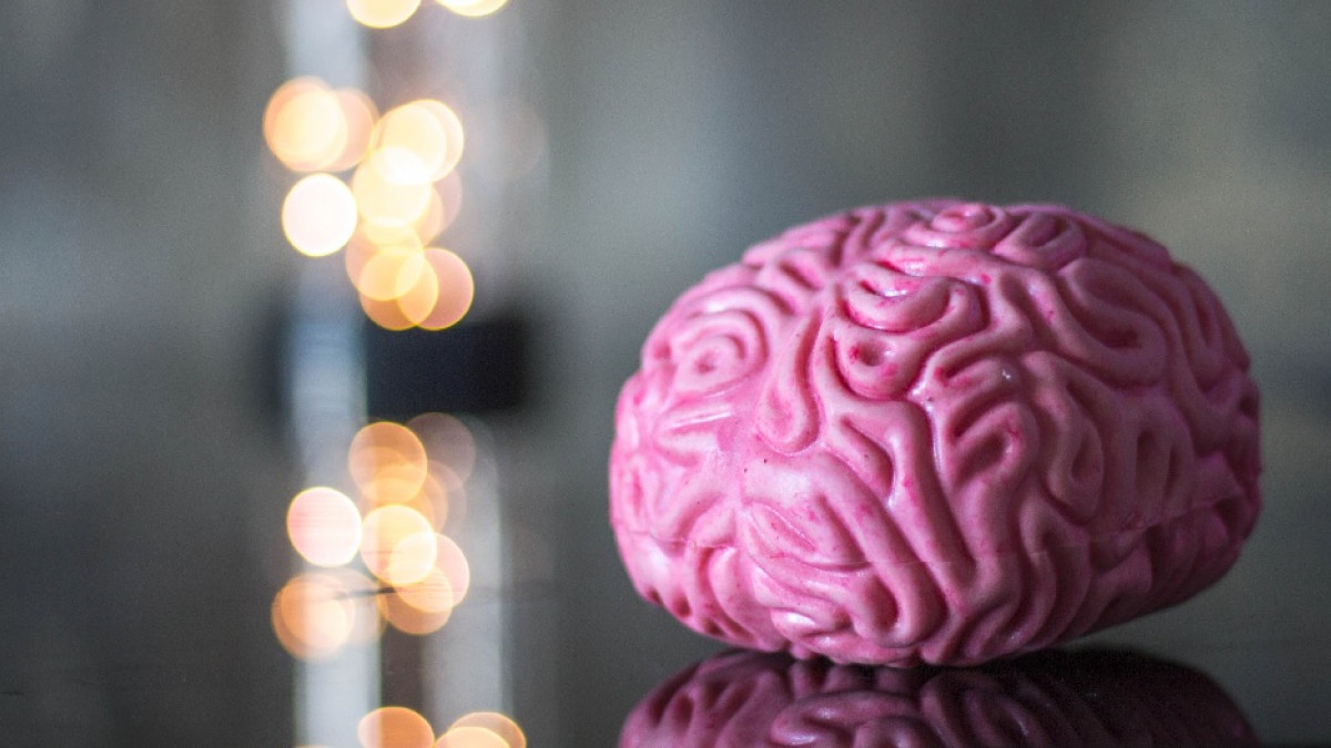 Maestría en Urbanismo Sustentable y Bioclimática