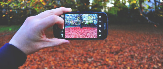 Las 7 mejores apps de terapia psicológica