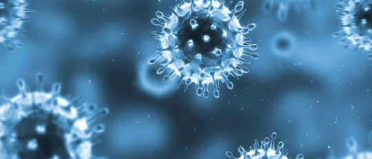 Herpes zóster: causas, síntomas y tratamiento