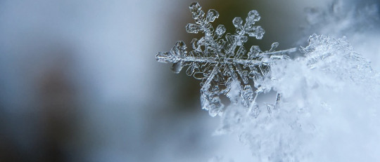 ¿Por qué la gripe aparece en invierno?