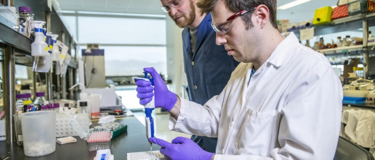 El síndrome del impostor en los doctorados