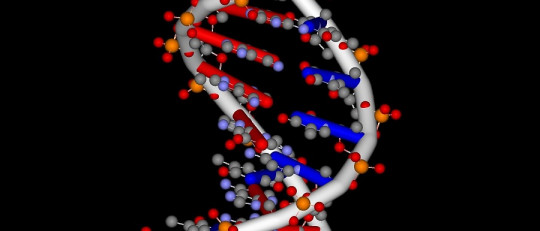 Enfermedad de Tay-Sachs