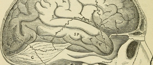 Teoría de la coherencia central