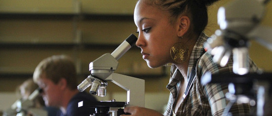 Los 7 factores más relevantes en la calidad del rendimiento académico