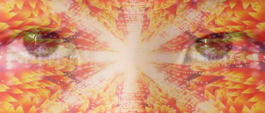 Los efectos de la ayahuasca: ¿qué hace este alucinógeno?