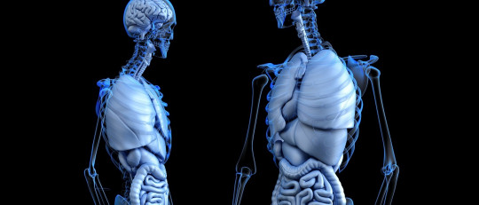 Las 10 enfermedades más comunes y frecuentes