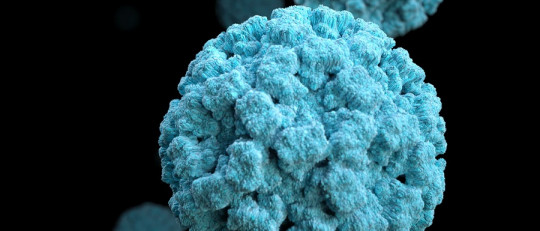 Diferencias entre virus y bacterias