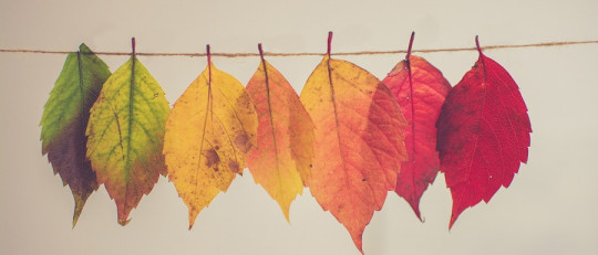 Los 7 mejores Másters en terapia psicológica